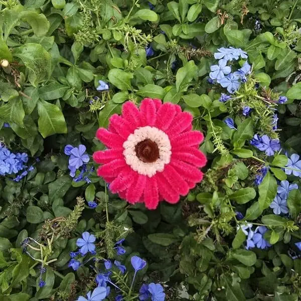 Gerbera artesanal fucsia intensa con centro crema y marrón