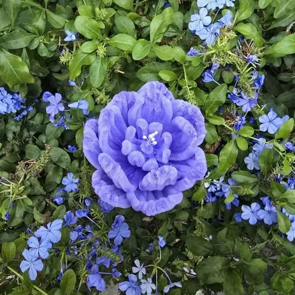Flor artesanal tipo peonía en lavanda azulado con pétalos superpuestos y textura suave