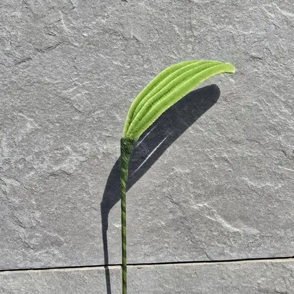 Tallo artesanal con hoja curva arqueada en verde limón de estilo tropical